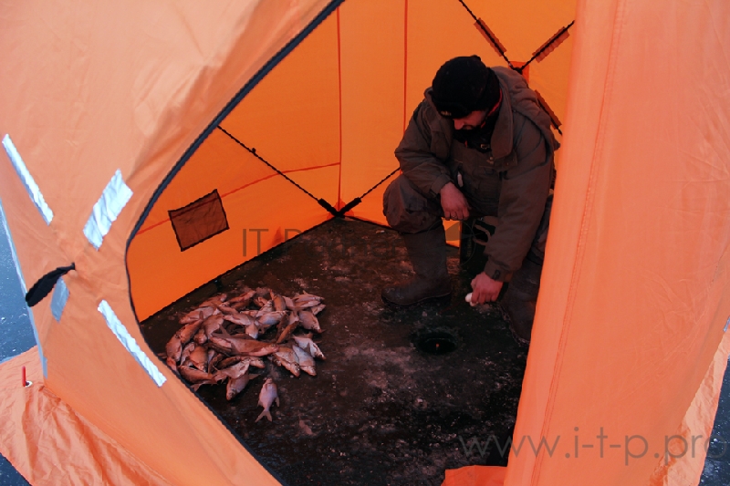 Палатка зимняя WOODLAND ICE FISH 2, 165х165х185 см (оранжевый)
