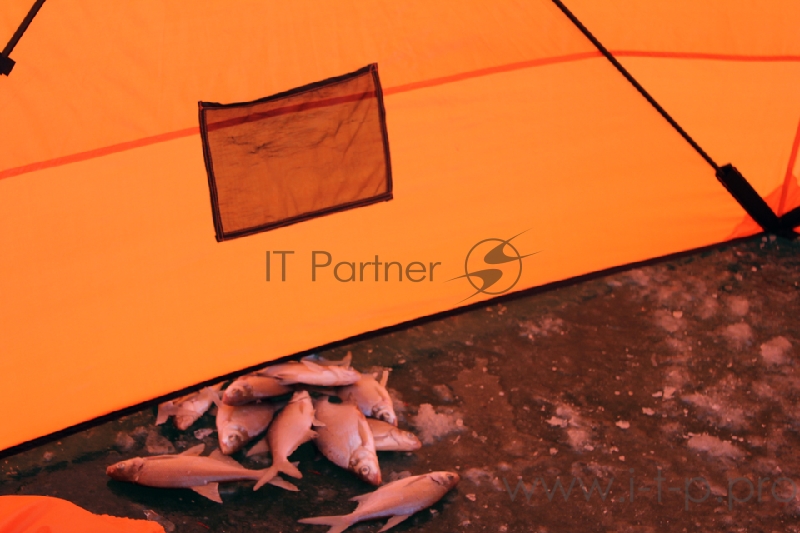 Палатка зимняя WOODLAND ICE FISH 2, 165х165х185 см (оранжевый)