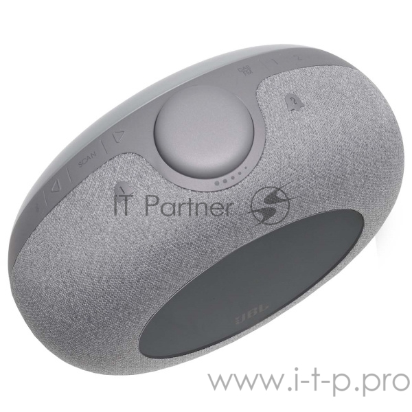 Портативная акустическая система JBL Horizon 2 серая