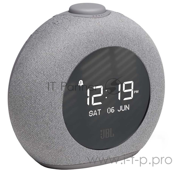 Портативная акустическая система JBL Horizon 2 серая
