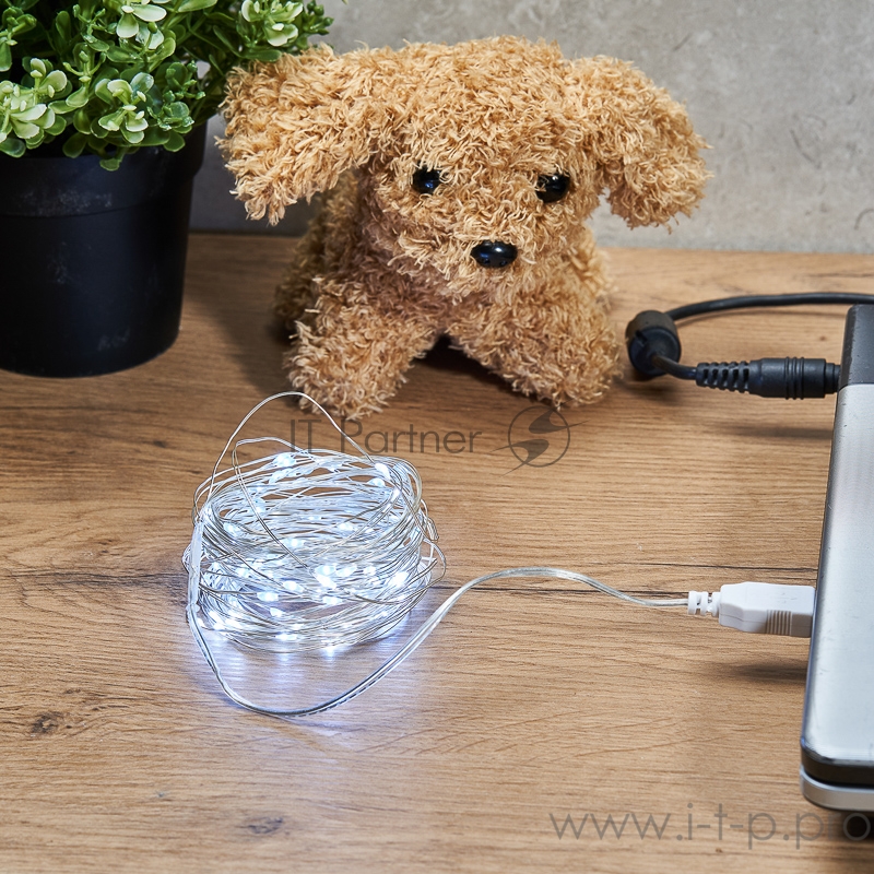 Гирлянда «Роса» 5 м, 50 LED, USB, белое свечение NEON-NIGHT