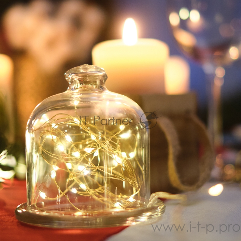 Гирлянда «Роса» с прищепкой 3 м, 30 LED, теплое белое свечение, 2хCR2032 в комплекте NEON-NIGHT