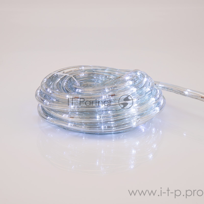 Дюралайт LED, свечение с динамикой (3W), 24 LED/м, белый, 6м