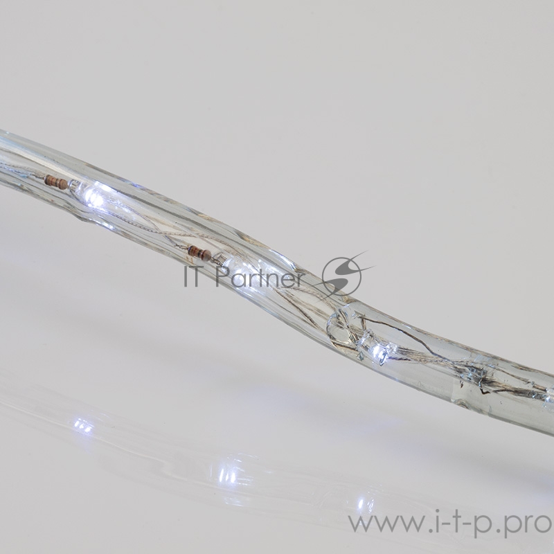 Дюралайт LED, свечение с динамикой (3W), 24 LED/м, белый, 6м