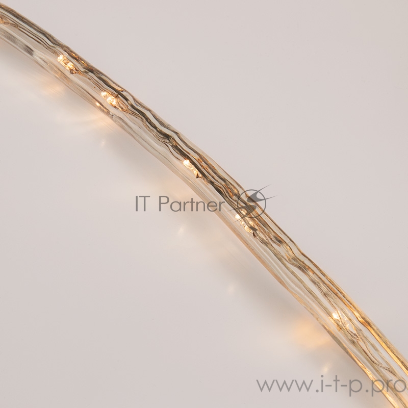 Дюралайт LED, свечение с динамикой (3W), 24 LED/м, ТЕПЛЫЙ БЕЛЫЙ, 14м