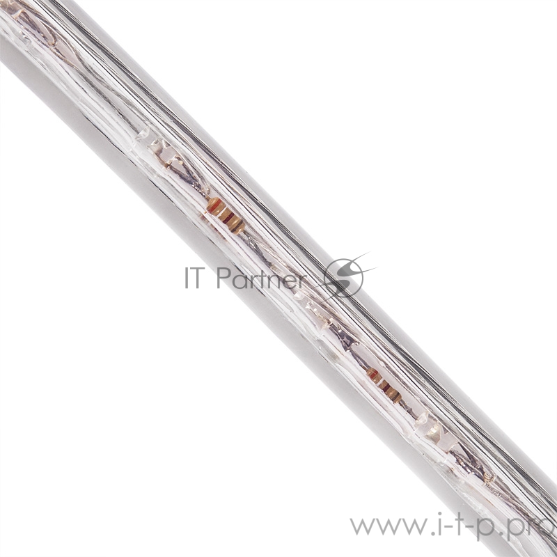 Дюралайт LED, свечение с динамикой (3W), 24 LED/м, белый, 14м