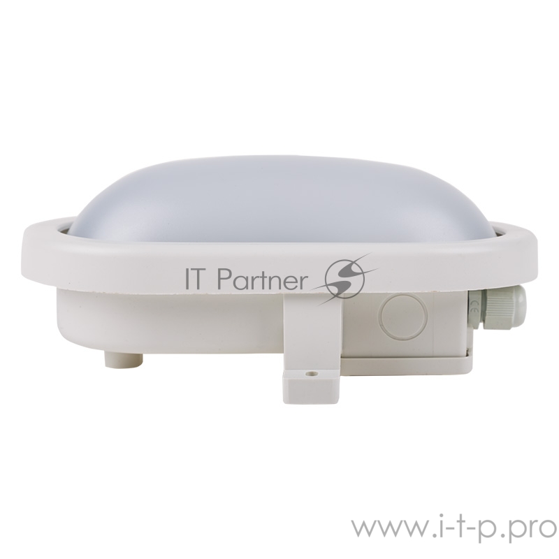 LED Светильник ЖКХ PROconnect, 10 Вт, IP65, овал