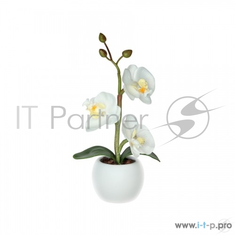 Светильники настольные СТАРТ (4670012295877) Декоративный светильник на светодиодах. 3 светодиода. LED Орхидея1_мал_белый