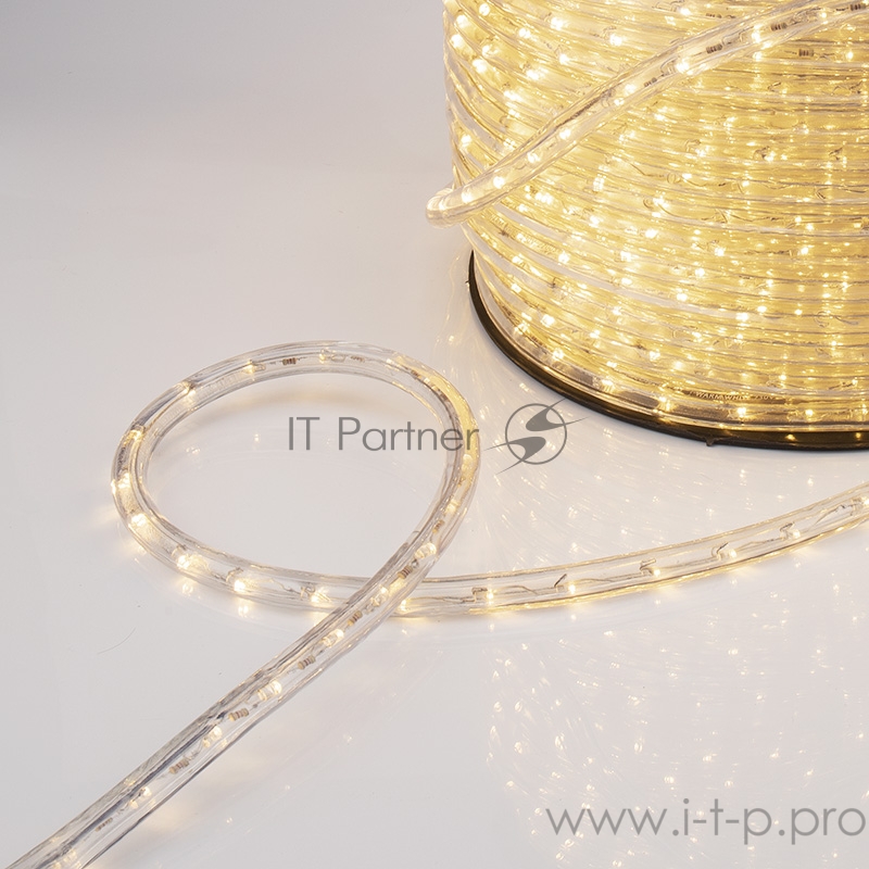 Дюралайт LED, постоянное свечение (2W) - ТЕПЛЫЙ БЕЛЫЙ Эконом 24 LED/м , бухта 100м