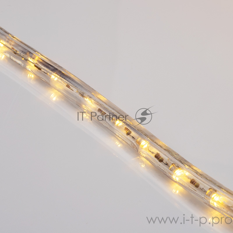 Дюралайт LED, постоянное свечение (2W) - ТЕПЛЫЙ БЕЛЫЙ Эконом 24 LED/м , бухта 100м