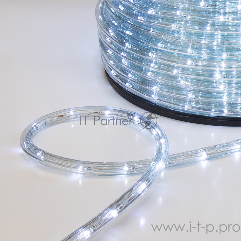 Дюралайт LED, свечение с динамикой (3W) - белый Эконом 24 LED/м , бухта 100м