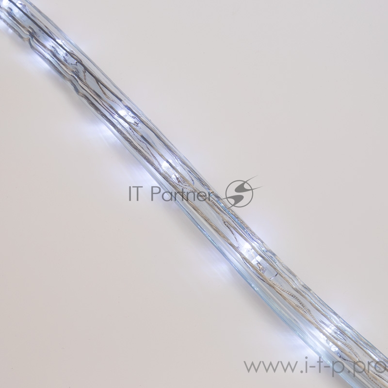 Дюралайт LED, свечение с динамикой (3W) - белый Эконом 24 LED/м , бухта 100м