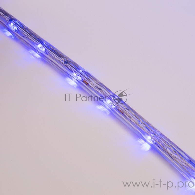 Дюралайт LED, свечение с динамикой (3W) - синий, 24 LED/м, бухта 100м