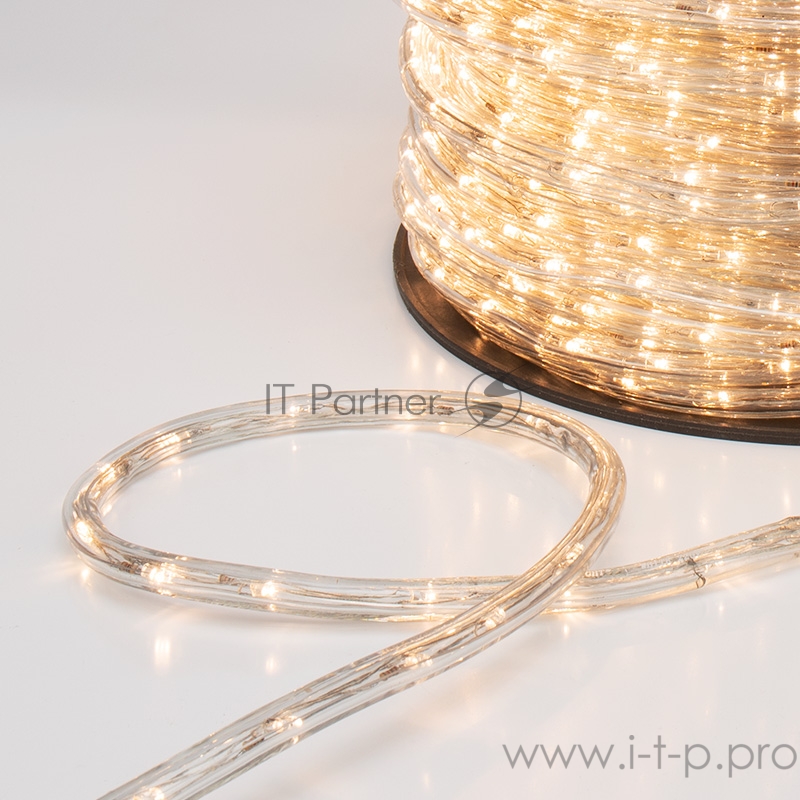 Дюралайт LED, свечение с динамикой (3W) - ТЕПЛЫЙ БЕЛЫЙ, 24 LED/м, бухта 100м