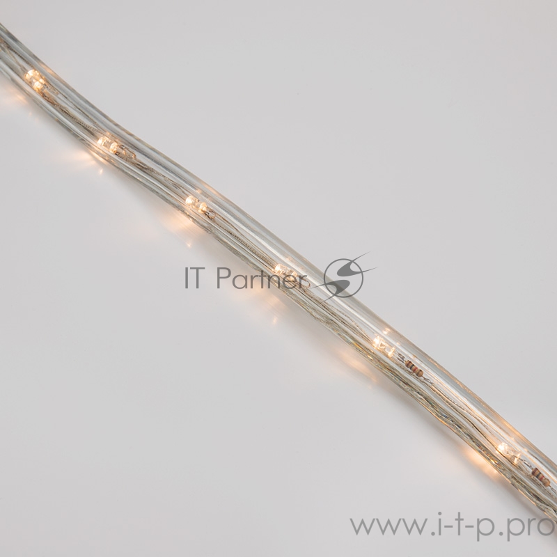 Дюралайт LED, свечение с динамикой (3W) - ТЕПЛЫЙ БЕЛЫЙ, 24 LED/м, бухта 100м