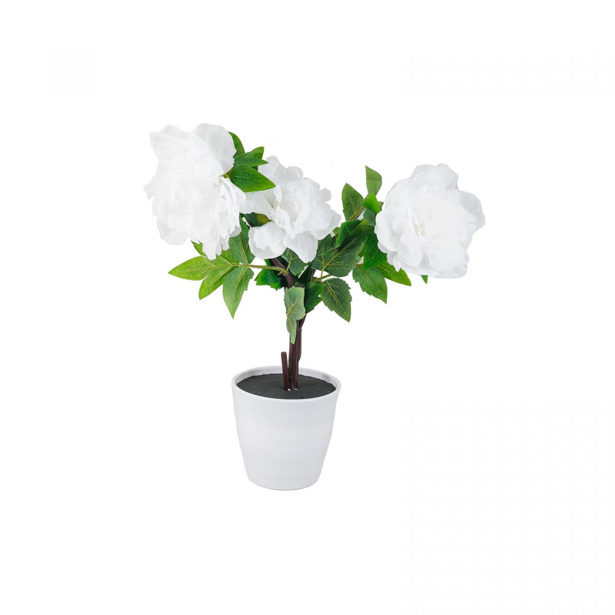 Светильники настольные СТАРТ (4680024813259) Декоративный светильник на светодиодах. 3 светодиода. LED Пион3 белый