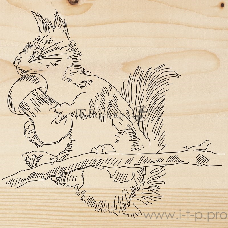 Доска для выжигания REXANT, «Белка», 150х150 мм, 1 шт., пакет