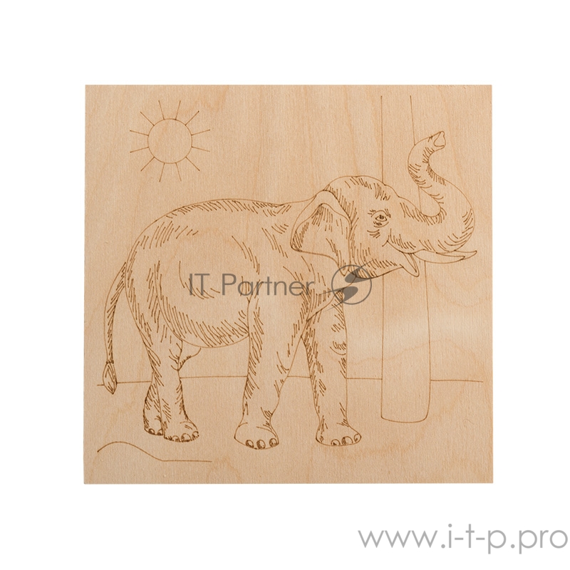 Доски для выжигания REXANT, «Животные», 150х150 мм, набор 5 шт. (Белка/Слон/Сова/Ежик/Тигр), пакет