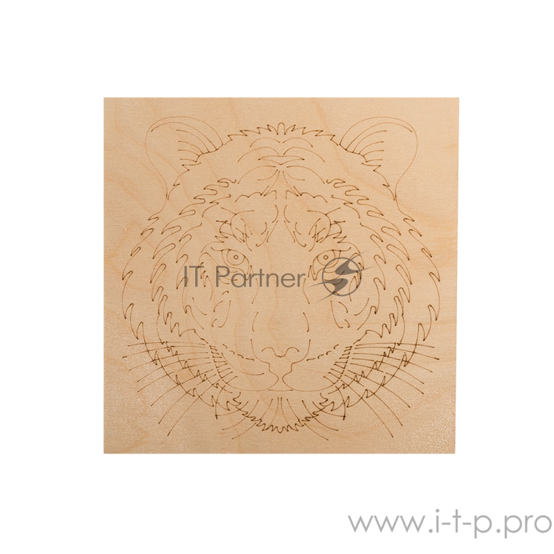 Доски для выжигания REXANT, «Животные», 150х150 мм, набор 5 шт. (Белка/Слон/Сова/Ежик/Тигр), пакет