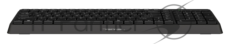 Клавиатура A4Tech Fstyler FK15 черный USB