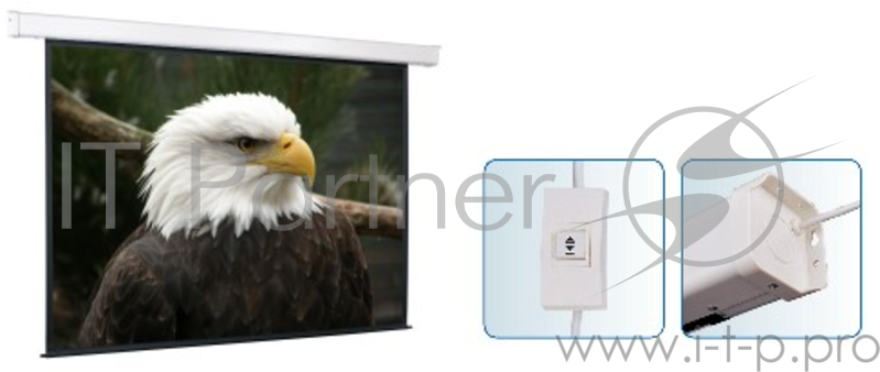 Экраны Screen Media ScreenMedia Champion SCM-4305 Экран с эл. приводом,206x274 MW