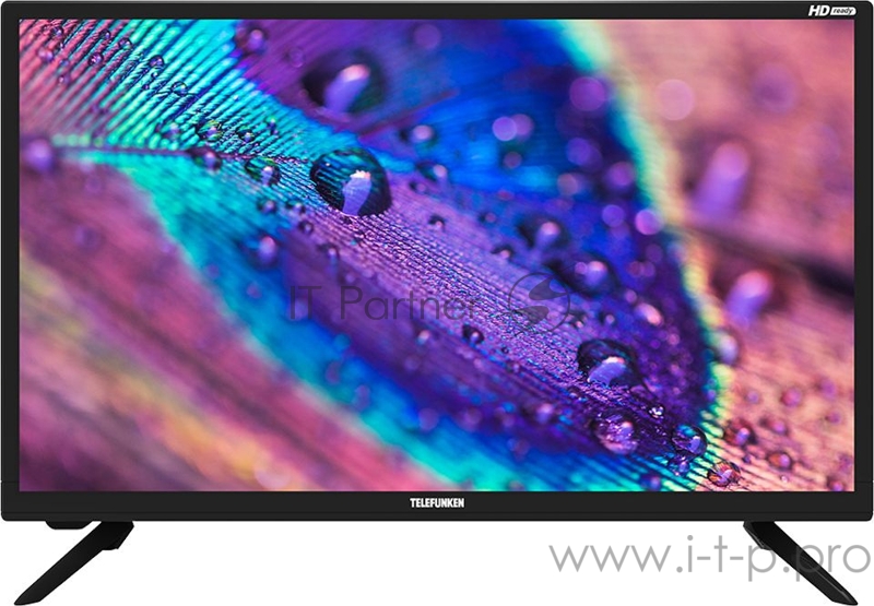 Телевизор LCD TF-LED24S22T2 (черный)