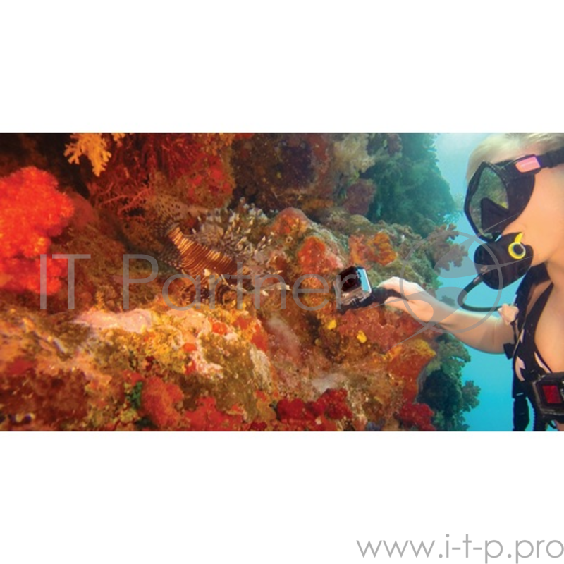 GoPro Гибкое шарнирное крепление ACMFN-001 (Gooseneck)