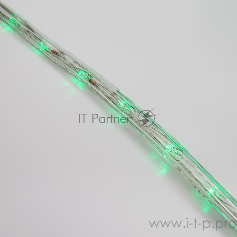 Дюралайт LED, свечение с динамикой (3W) - зеленый, 24 LED/м, бухта 100м