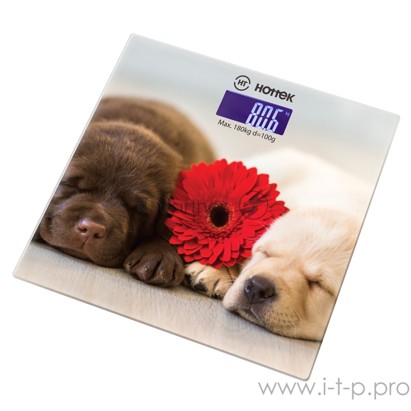 ВЕСЫ НАПОЛЬНЫЕ HOTTEK HT-962-016
