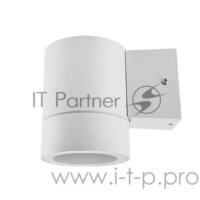 Светильник светодиодный GX53S-1W-ЦИЛИНДР GX53 IP65 230В уличный односторон. подсветка бел. IN HOME 4690612023502