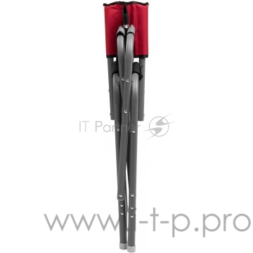 Кресло директорское MAXI серый/красный/черный (N-DC-95200-M-GRD) NISUS (пр-во ГК Тонар)