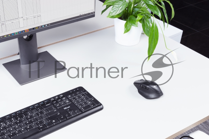 Мышь беспроводная Trust 23812 аккумуляторная OZAA черная