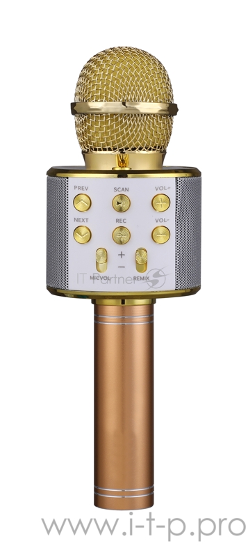 Беспроводной микрофон (золото) FunAudio G-800