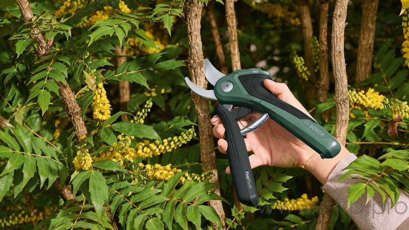 Секатор Bosch EasyPrune (06008B2100)