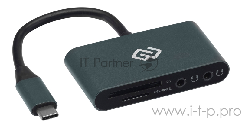 Устройство чтения карт памяти Type C Digma CR-СA2512-G серебристый