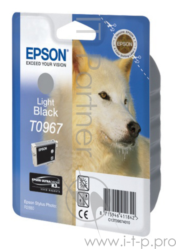 Расходные материалы Epson C13T09674010 картридж для R2880 (Light Black) (cons ink)