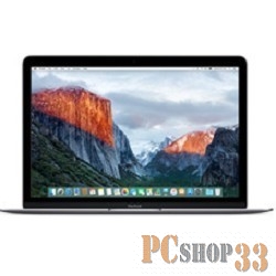 Ноутбук Apple MacBook Z0TX0001X Space Gray 12