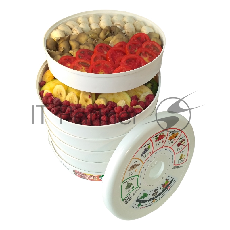 Сушилка для овощей и фруктов RENOVA DVN31-500/5 (R)