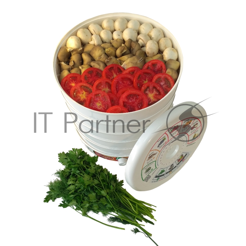 Сушилка для овощей и фруктов RENOVA DVN31-500/5 (R)