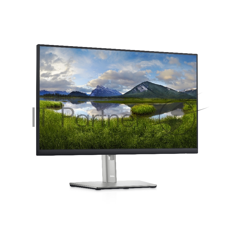 Монитор Dell 23.8 P2422H черный IPS LED 5ms 16:9 HDMI матовая HAS Pivot 1000:1 250cd 178гр/178гр 1920x1080 D-Sub DisplayPort FHD USB