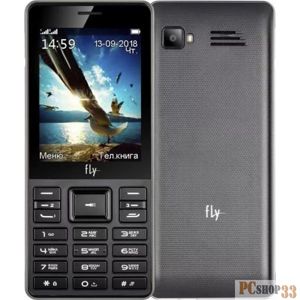 Мобильный телефон Fly TS114 Black