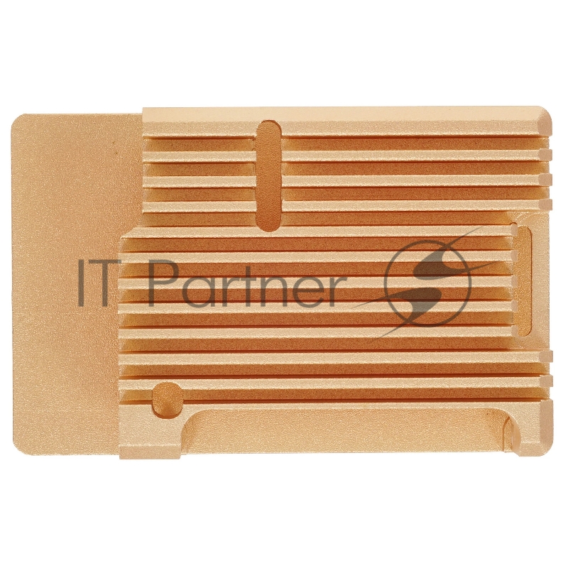 Корпус Qumo Aluminum case without fan, Raspberry Pi 3, gold(RS025)