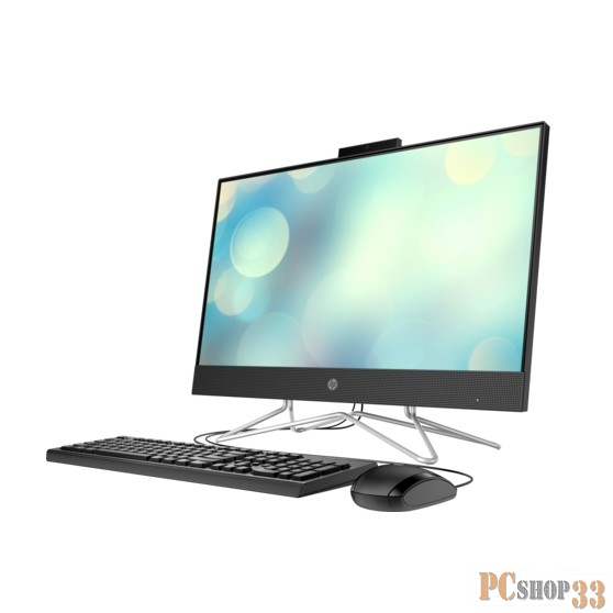 Моноблок HP 24-df0090ur 23.8 FHD(1920x1080) AMD Athlon 3050U, 8Gb, 256Gb SSD, DOS, k+m, black (2H1V2EA)