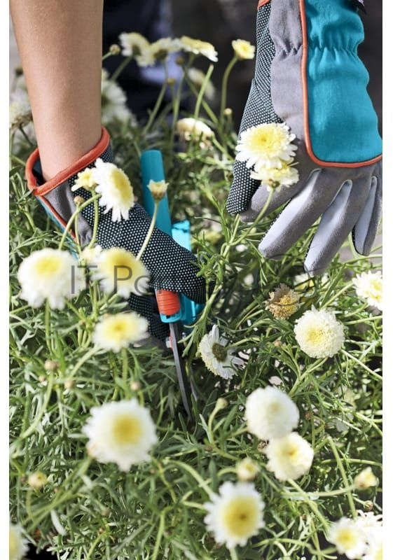 Перчатки садовые Gardena 8 (00203-32.000.00)