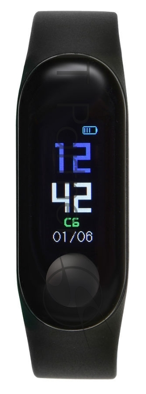 Смарт-браслет SunWind SB10 TFT корп.:черный рем.:черный (SB10B)