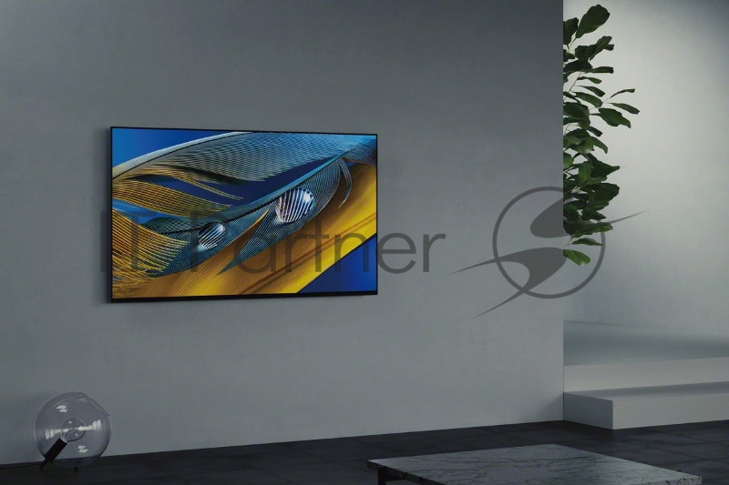 HD/100Hz/DVB-T/DVB-T2/DVB-C/DV