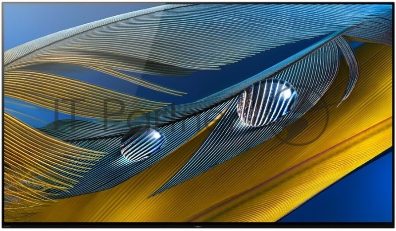 HD/100Hz/DVB-T/DVB-T2/DVB-C/DV