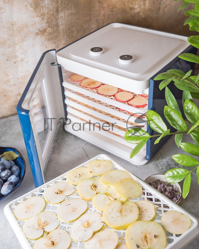 Сушка для фруктов и овощей Starwind SFD6431 6под. 400Вт синий