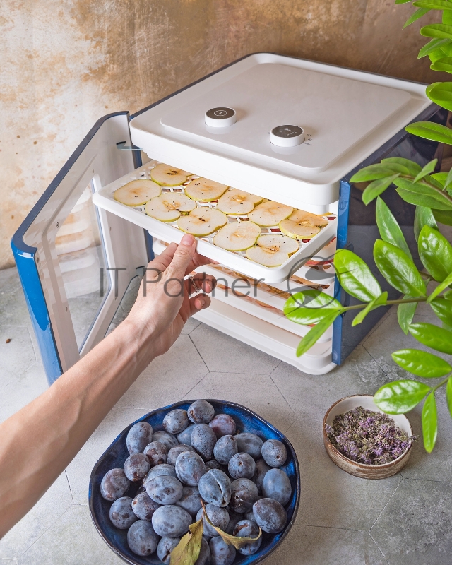 Сушка для фруктов и овощей Starwind SFD6431 6под. 400Вт синий