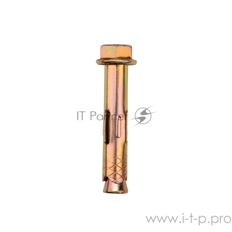 Анкерный болт с гайкой 10х60 REXANT, пакет 10 шт.